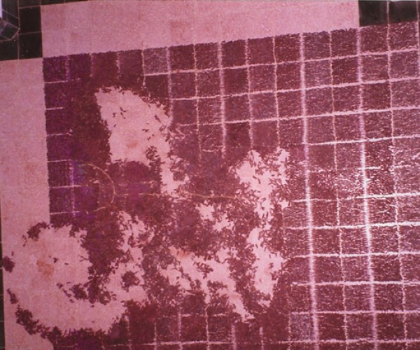 21) Lavender Piece, 1999, C.E.N.T.A Portugal